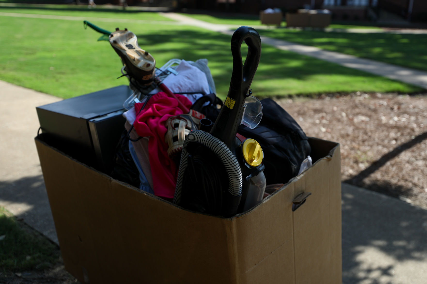 Auburn University move-in Aug. 15
